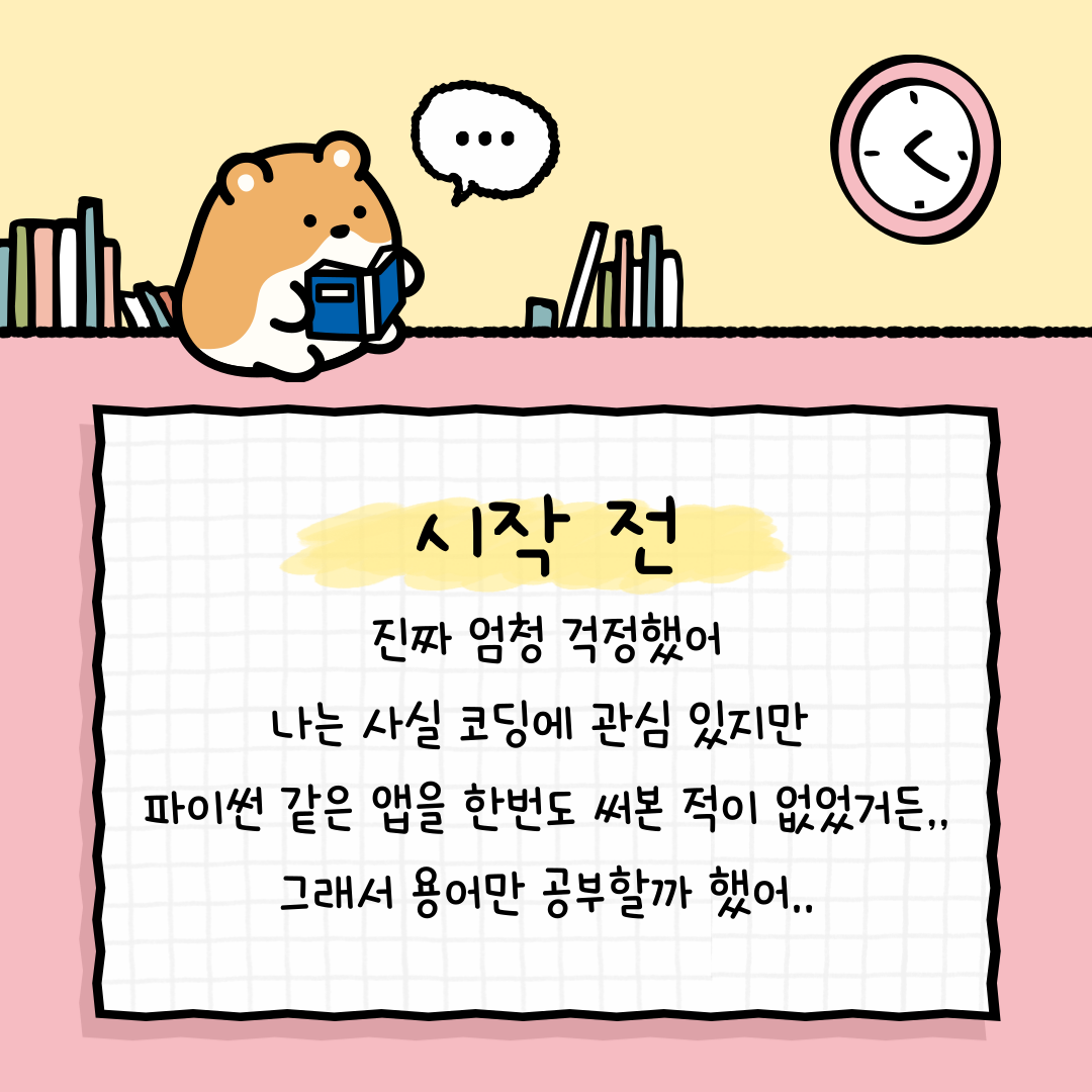 컨텐츠 이미지
